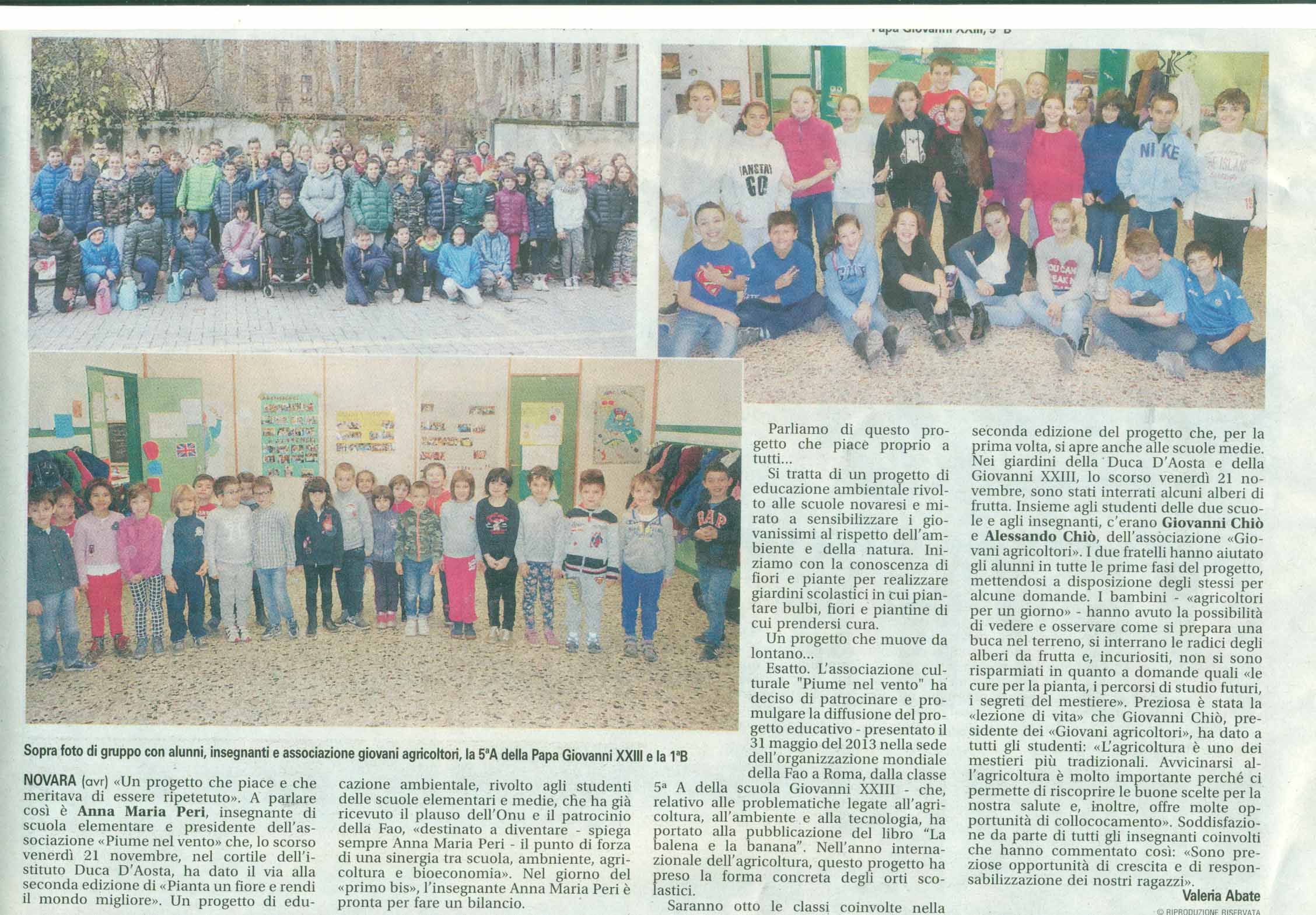 novara_oggi_x_21_novem_2014_2 novara_oggi_x_21_novem_2014_2