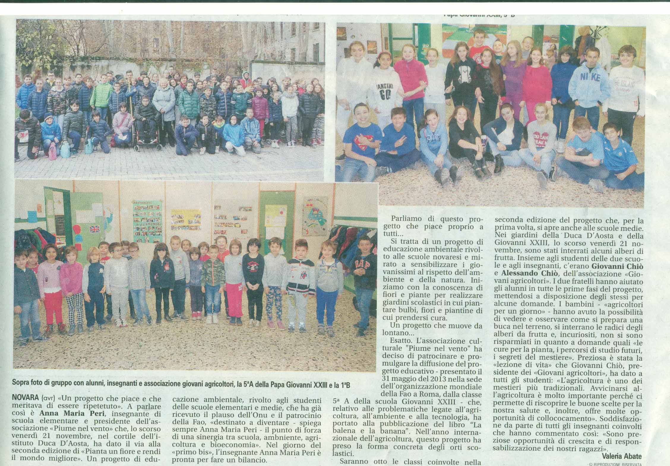 novara_oggi_x_21_novem_2014_2